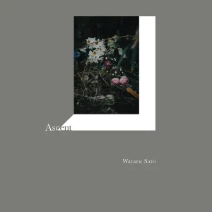 「Ascent」/ Wataru Satoアートワーク