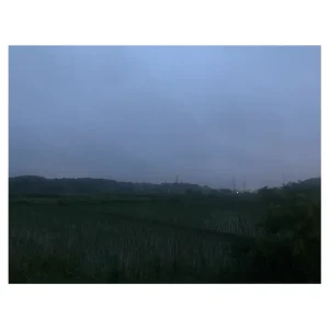 「Fret Mauve」gai sekiアートワーク