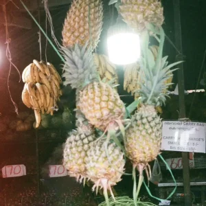 『すてきな果実』MellMellアートワーク