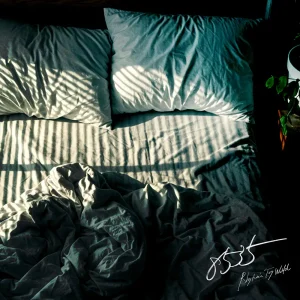 「8535(君の隣 Ver.)」 / Rhythmic Toy Worldアートワーク