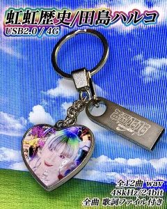 虹虹歴史USB画像