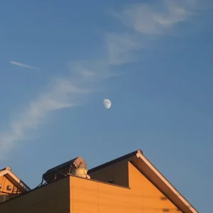 『青い鳥飛んだ EP』高野寛アートワーク