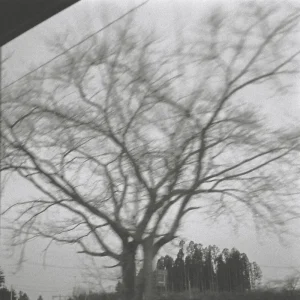 「Found You」/ Uilouアートワーク