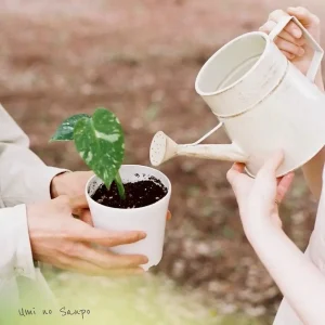 『リペア』/ 海の散歩アートワーク