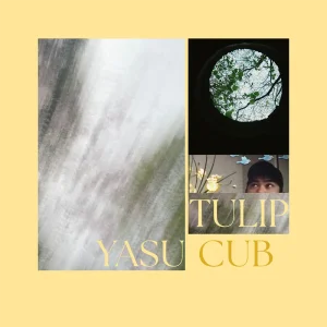 「tulip」Yasu Cubアートワーク