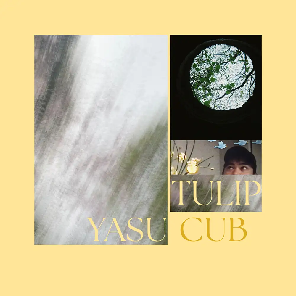 「tulip」Yasu Cubアートワーク