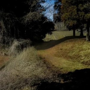 「Sun Machine」YOMOYAアートワーク