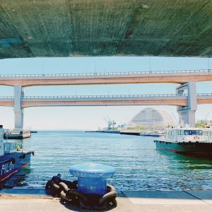 「シャッター」yoogapotatoアートワーク