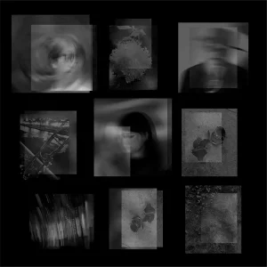 「The ascent of life」 湯浅佳代子 & 箸本智 feat. MACROMANCEアートワーク