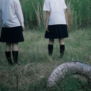 「echoes of fading girl」/ 揺れるは幽霊アートワーク