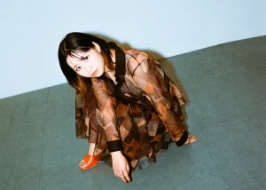 フジタ カコアートワーク