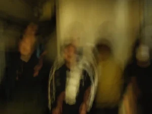 Murray a capeアー写