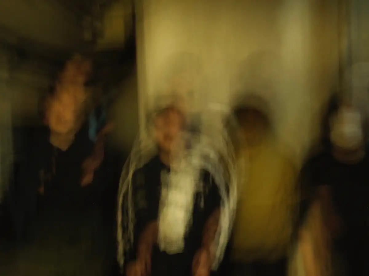 Murray a capeアー写