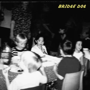 『Auto Fictions』Bridge Dogアートワーク