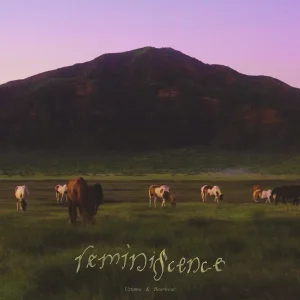 「Reminiscence」Uztama & Bearwearアートワーク