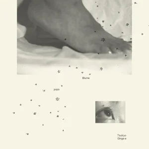 「月夜銀河へ」/ Blume popoアートワーク