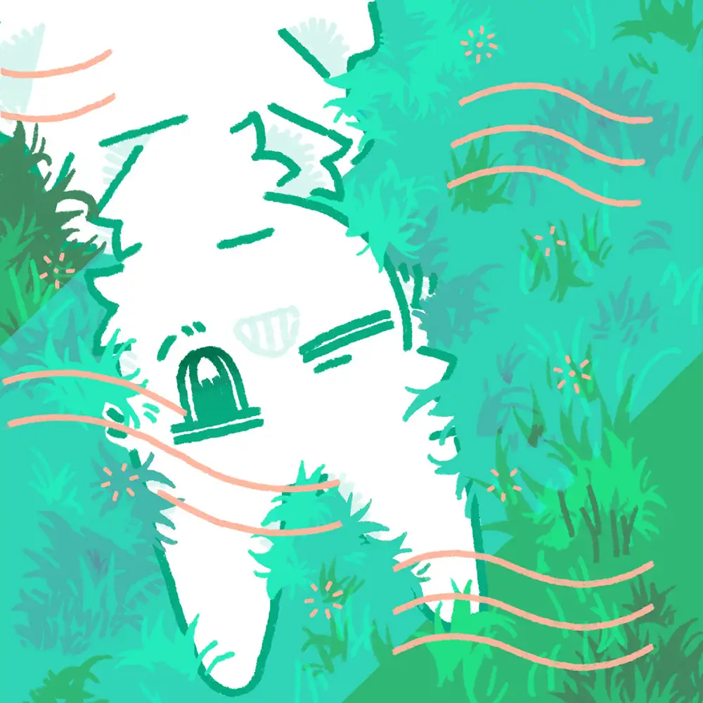 「light took」Zen Miyako, カルロスまーちゃんアートワーク