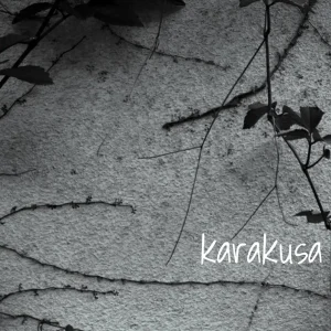 「karakusa」法斎Beatsアートワーク