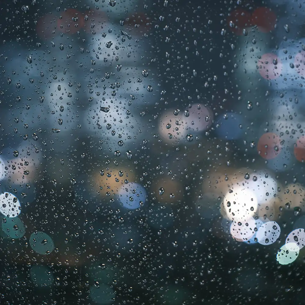 「Rain on me」lili mauaアートワーク