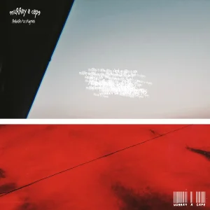 『Reburn to stigmas』Murray a capeアートワーク