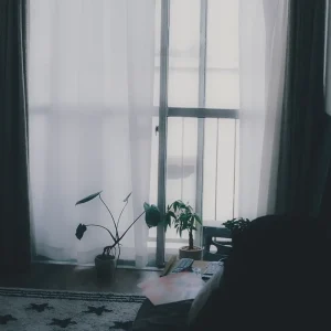 「生活のような」/ 猫は液体アートワーク