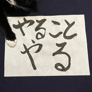 「やることやる」 PM Kenobi, PALMYRAアートワーク