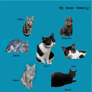 『My Dear Family』路傍の石アートワーク