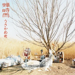 「うさかめ考」蝉時雨