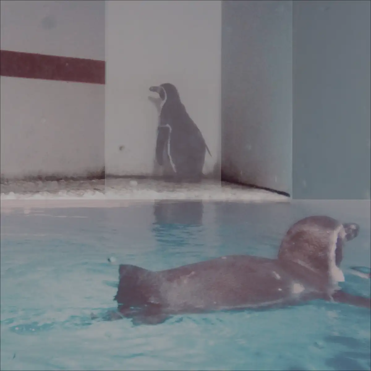 『騒がしい孤独』武田鳴