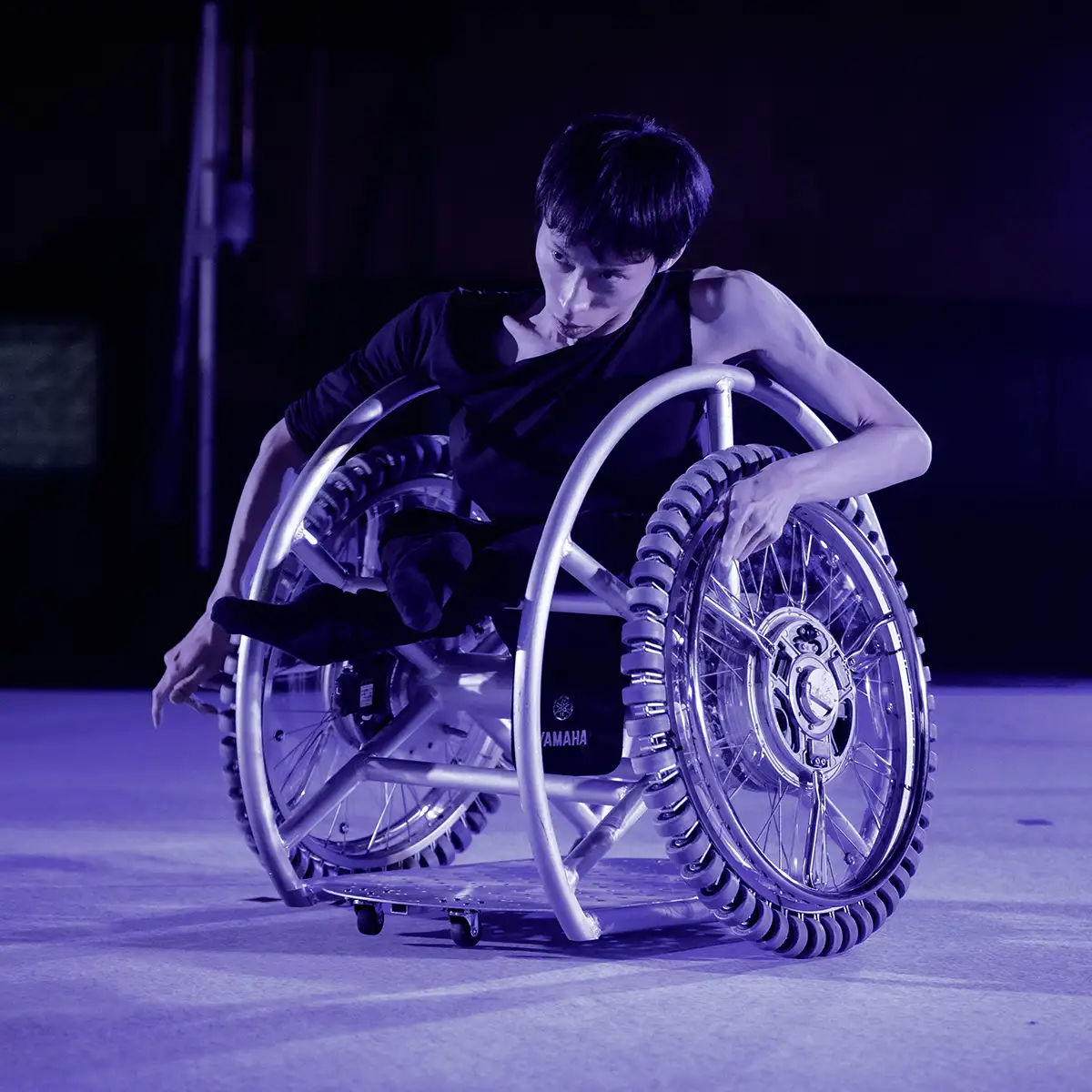 「Gaze and Self」/ TOMCアートワーク