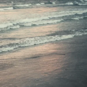 「Monologue on beach feat. 寺尾紗穂」WAZGOGG, Koshun Nakaoアートワーク