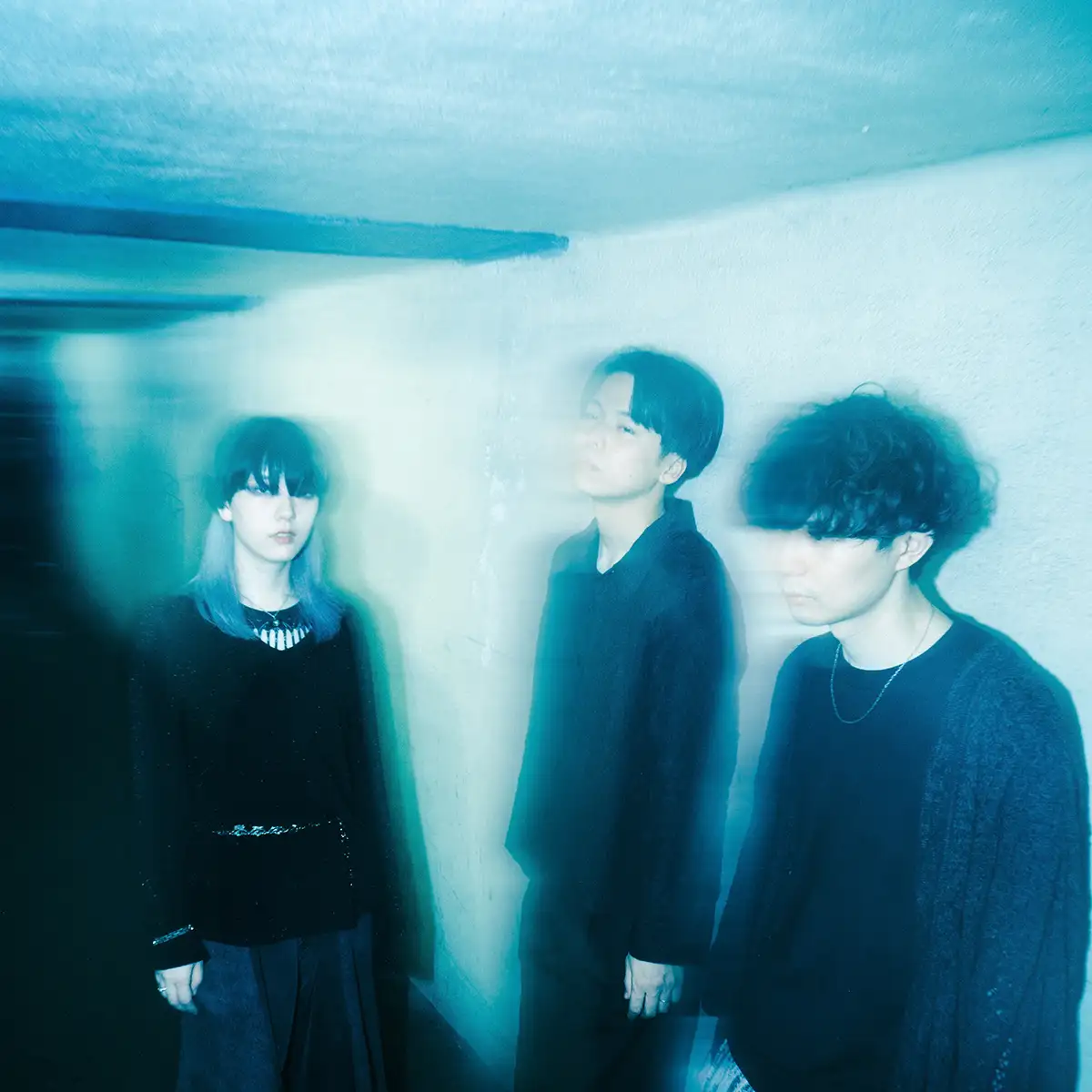 ヨツドメノディアー写