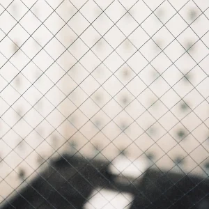 『In Your Languages』 揺らぎアートワーク