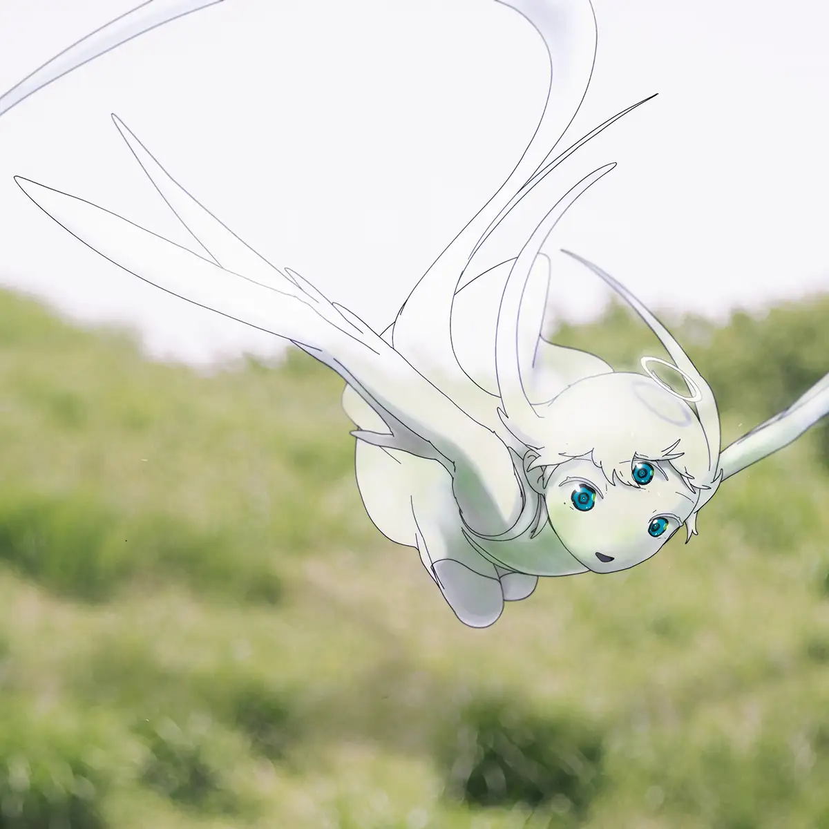 『Timeless Echoes』芳川ヨシノアートワーク