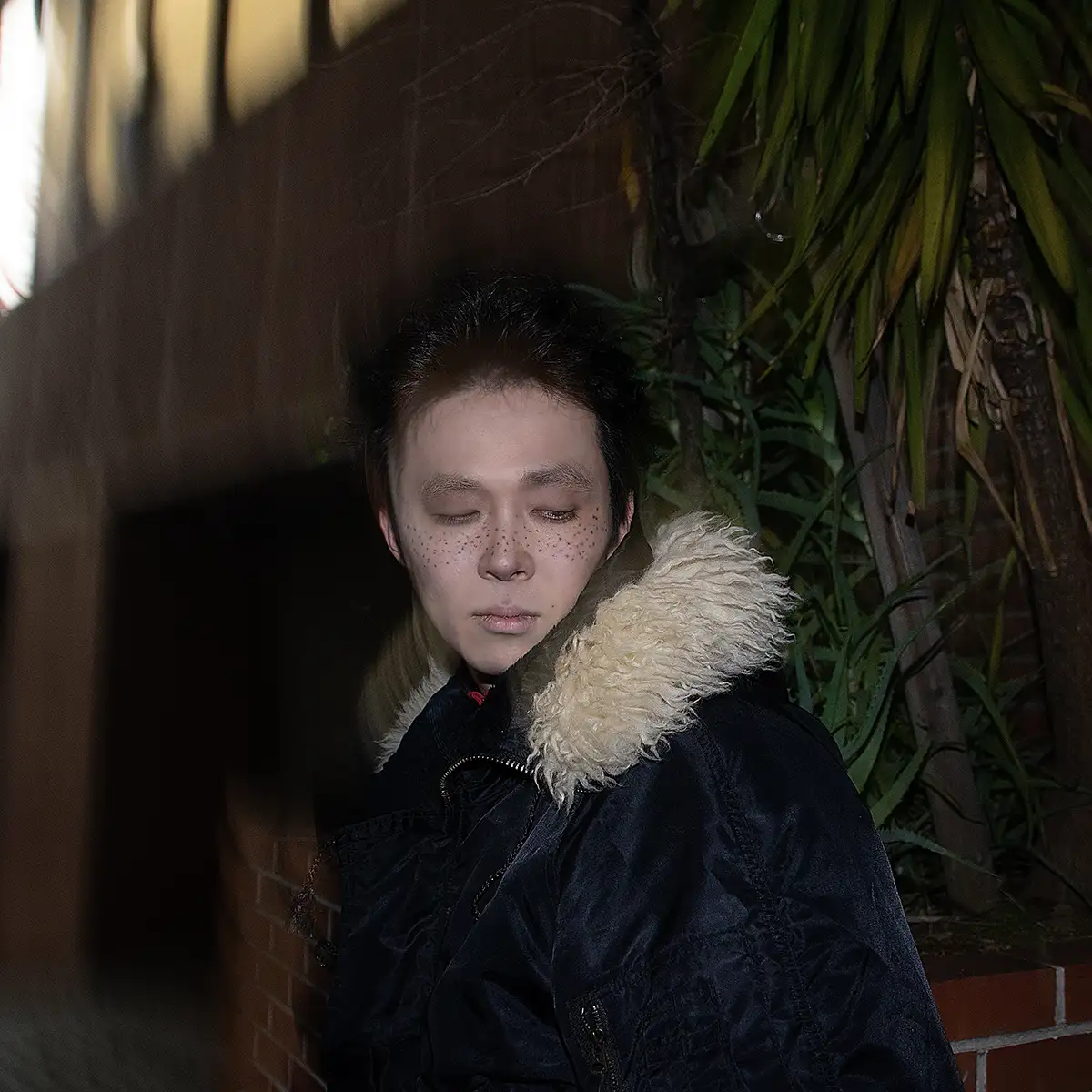 Tarah Kikuchiアー写