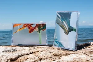 『everyday』 Yusuke Saint Laurentアートワーク