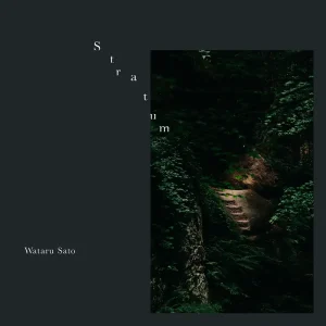 「Stratum」/ Wataru Satoアートワーク