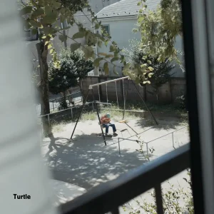 『Turtle』/ ALANアートワーク