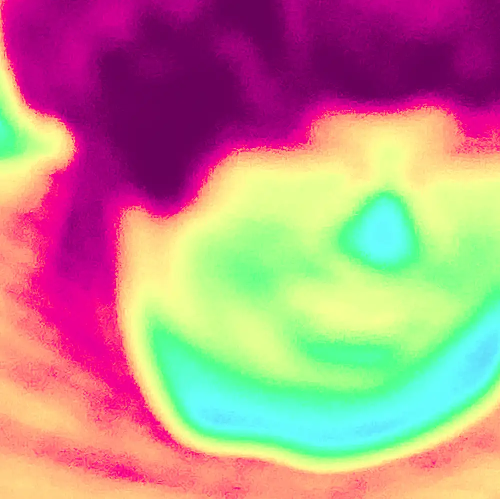 『Mudgikk』Cwondoアートワーク