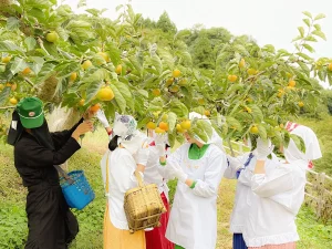 婦人倶楽部アー写