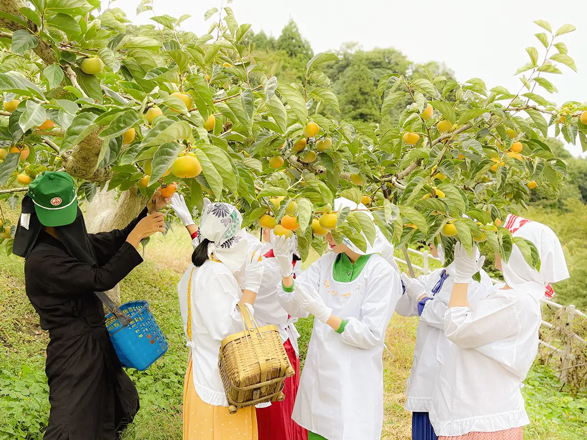 婦人倶楽部アー写