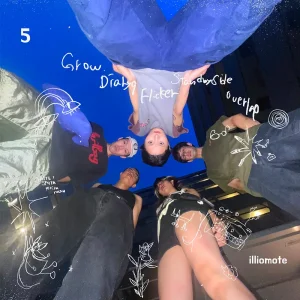『5』/ illiomoteアートワーク