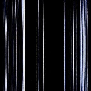 『Ask for the Moon』 myfleetinggardenアートワーク