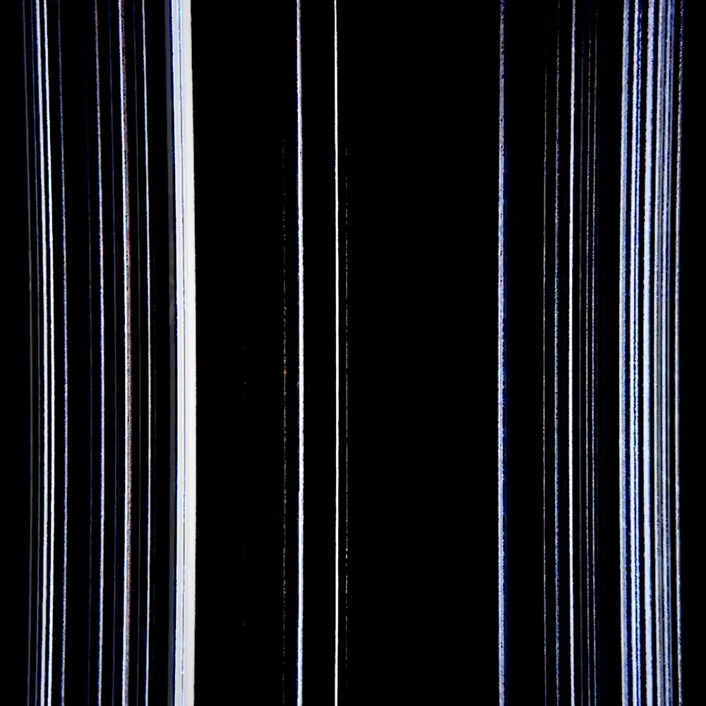 『Ask for the Moon』 myfleetinggardenアートワーク