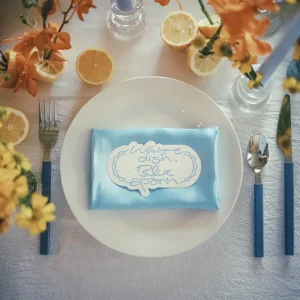 「White Dish, Blue Spoon」 Nagakumoアートワーク