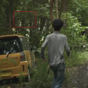 「100年」/ 乙女絵画アートワーク