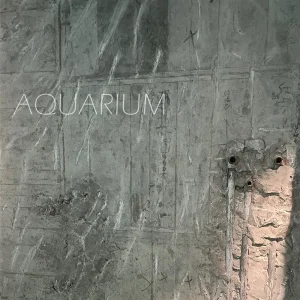 「Aquarium（Alternative take）」 pandagolffアートワーク