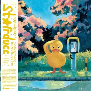 『introducction』 starrduccアートワーク