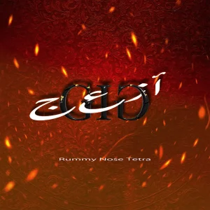 「GIG」/ Rummy Nose Tetraアートワーク