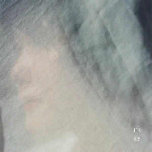 「白昼」/ the slow filmsアートワーク